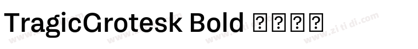 TragicGrotesk Bold 字体转换